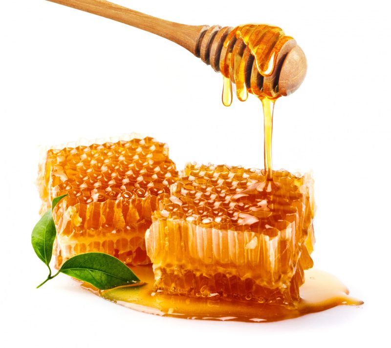 Wild Honey